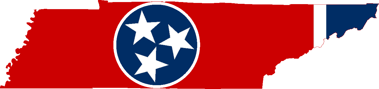 Microsoft C# VS development Memphis TN